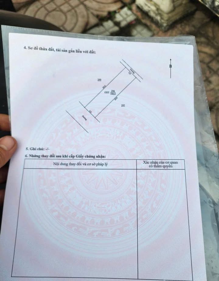 Đất nền Trường Thi Nam Định 100m² 1.25 tỷ - Đường ô tô 9m