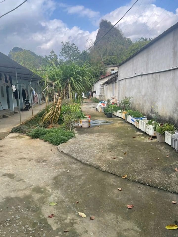 Đất nền Lai Châu 1000m² thỏa thuận - Đầu tư dài hạn