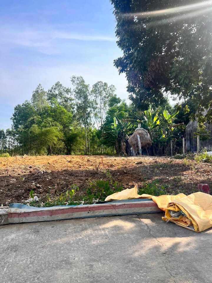 Đất nền Đông Phú Quế Sơn 1000m² 1.1 tỷ - Tiềm năng tăng giá