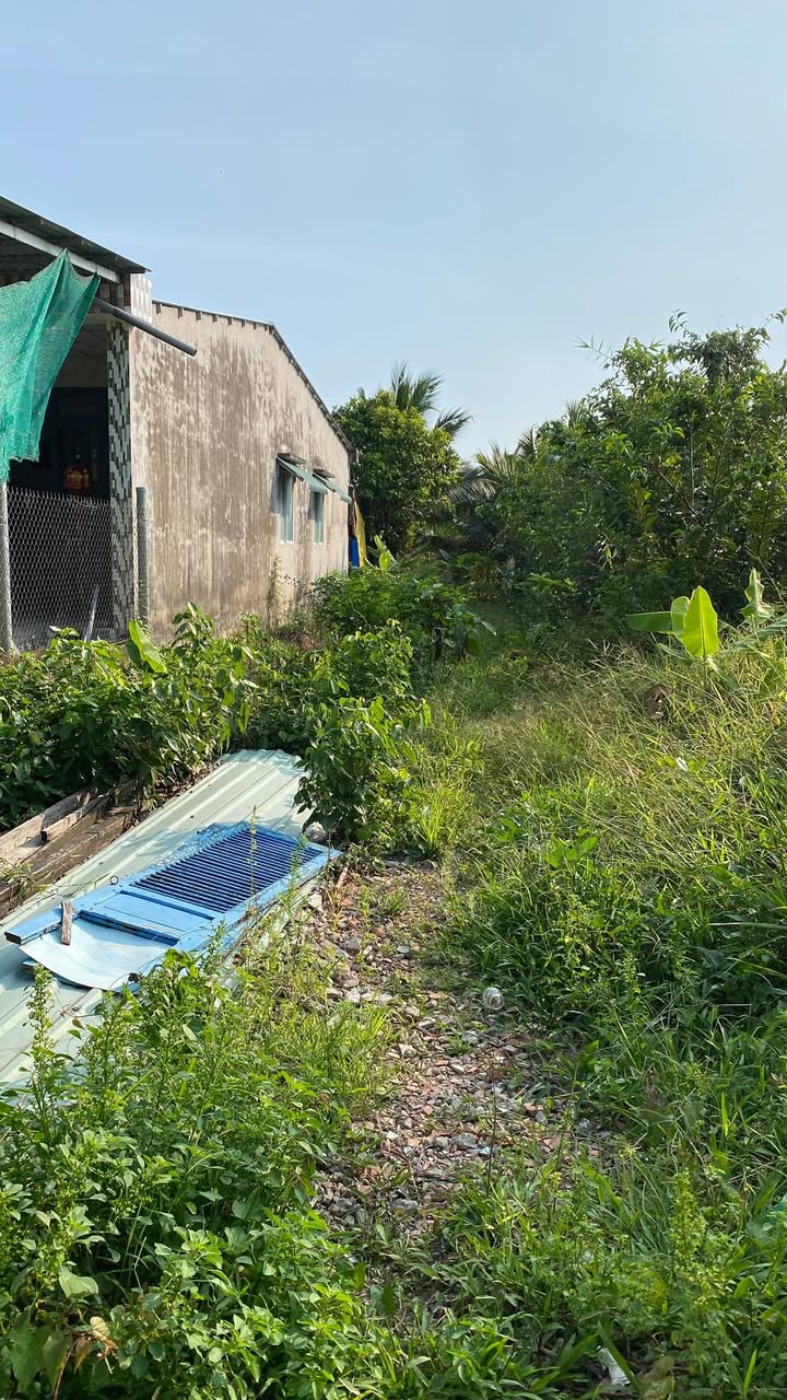 Đất Nguyễn Tử Vân Mỹ Tho 175m² 1,2 tỷ - Đường ô tô 7 chỗ