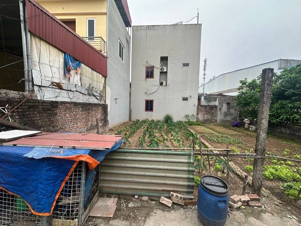 Đất Vạn Phúc Thanh Trì 78m² 6 tỷ - Sổ đỏ chính chủ