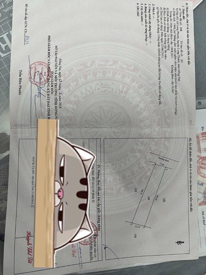 Đất nền Long Phước 3170m² tiềm năng tăng giá mạnh