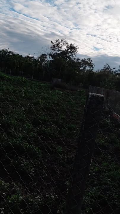 Đất QL14 Buôn Ma Thuột 830m² 1.39 tỷ - Đường to ô tô