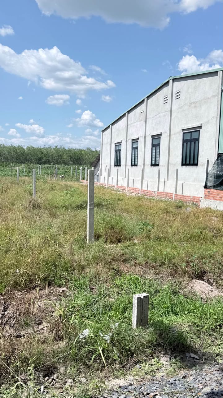 Đất nền Đồng Rùm Tân Thành 266m² 375 triệu - Sổ hồng riêng