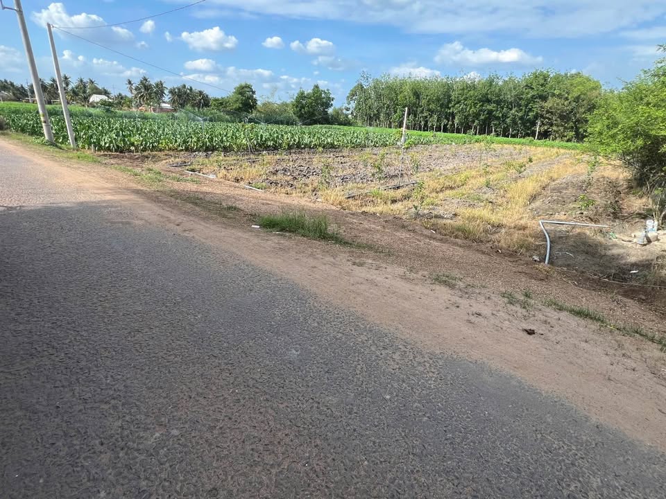 Đất nền Dương Minh Châu 1.200m² 132 tỷ - Sổ đỏ chính chủ