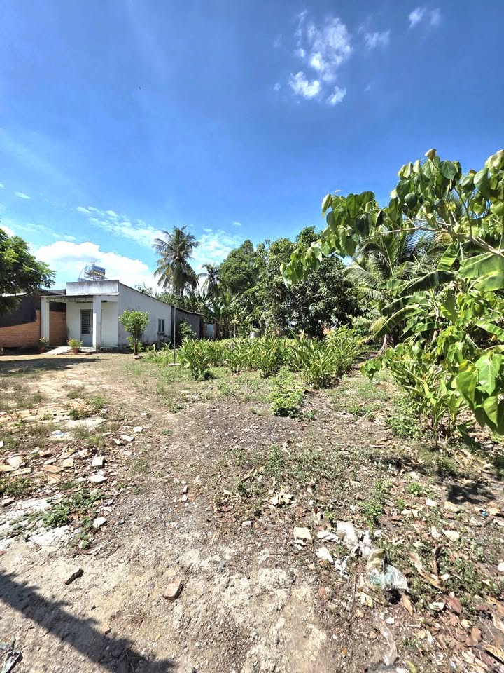 Đất nhà vườn Long Hoa 1.102m² 1,8 tỷ - An yên tĩnh