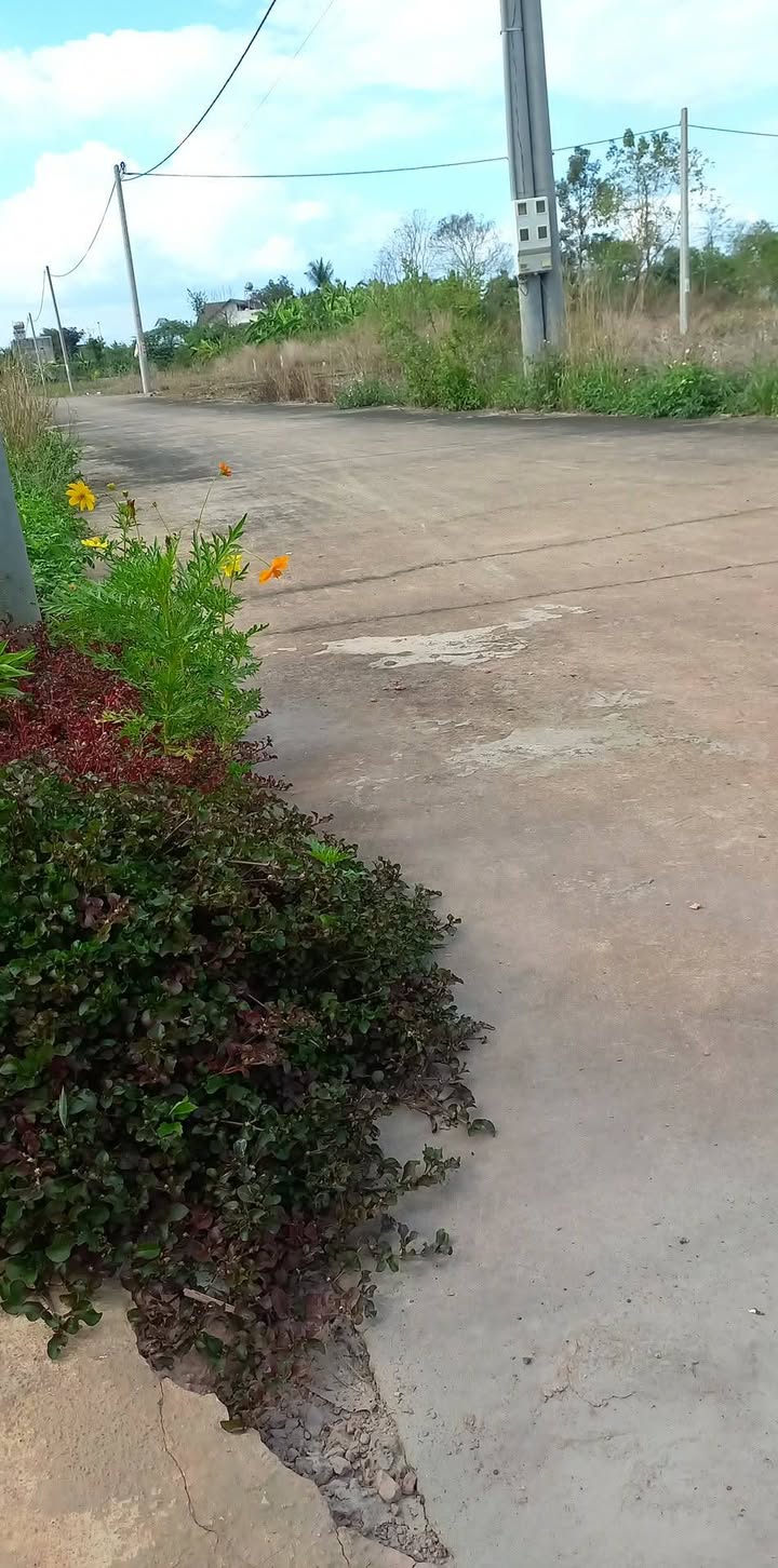 Đất nền Tân An Vĩnh Cửu 200m² giá 350tr - Tiềm năng tăng giá