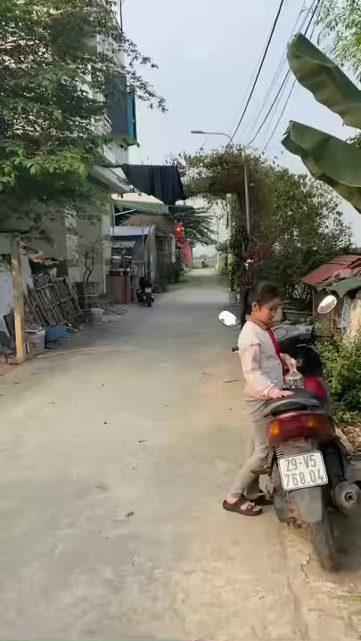 Đất giãn dân Phú Kim Thạch Thất 150m2 - Sổ đỏ chính chủ