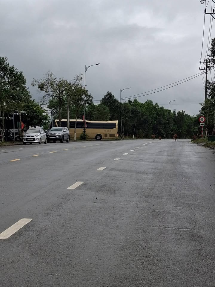 Đất Hòa Sơn Hòa Vang Đà Nẵng 504m² 4.8 tỷ - Sổ đỏ chính chủ