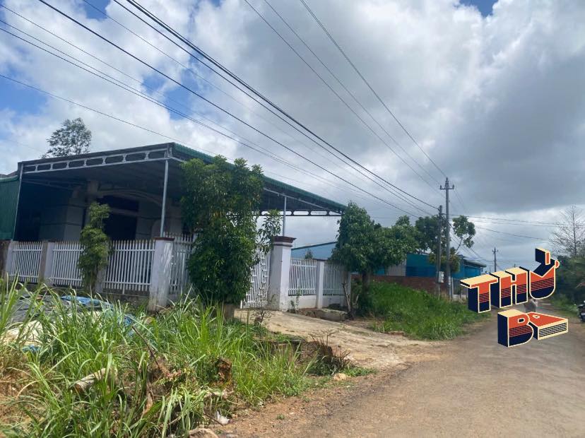 Đất nền Quốc lộ 26 Cư M'gar 600m² giá 60 tỷ - Ô tô vào