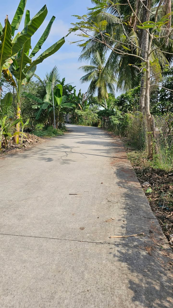 Đất nền Thới An Đông Bình Thủy 150m² 1.05 tỷ - Sổ đỏ chính chủ