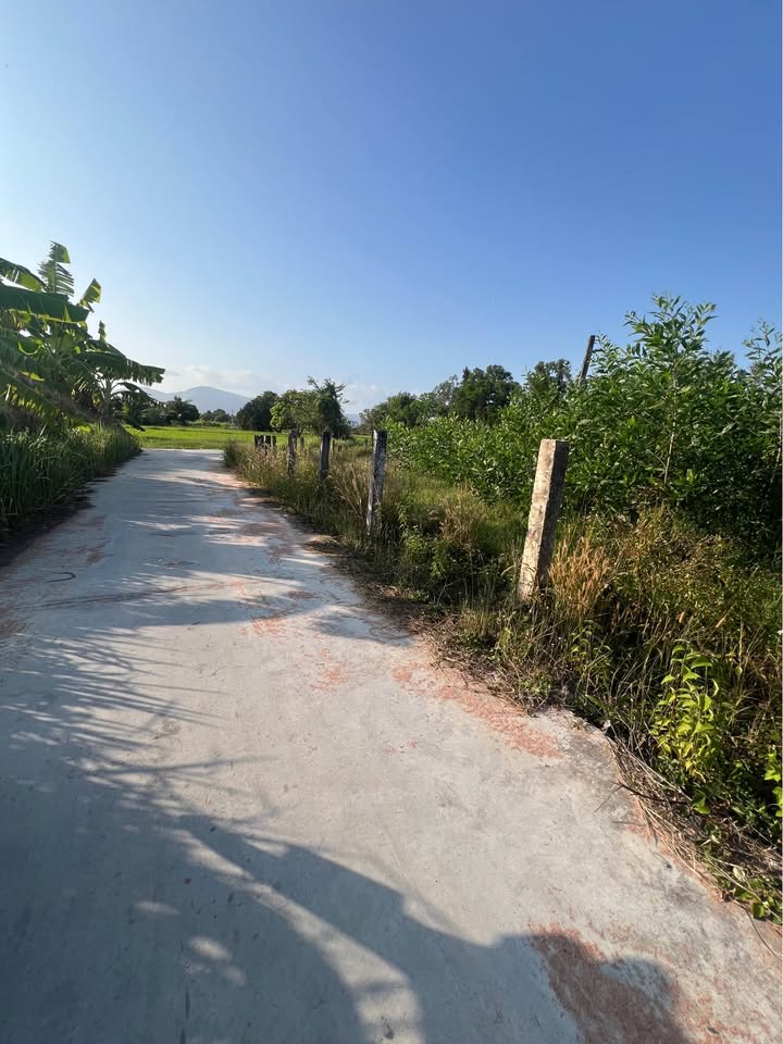 Đất Hàm Liêm Hàm Thuận Bắc 1.440m² 1.8 tỷ - Đường to ô tô