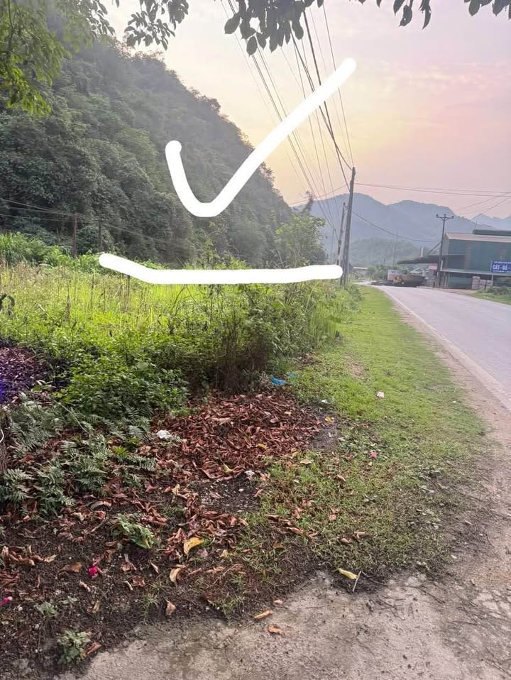 Dat nen Dong Van 2025m2 gia 1 ty - Duong to o to