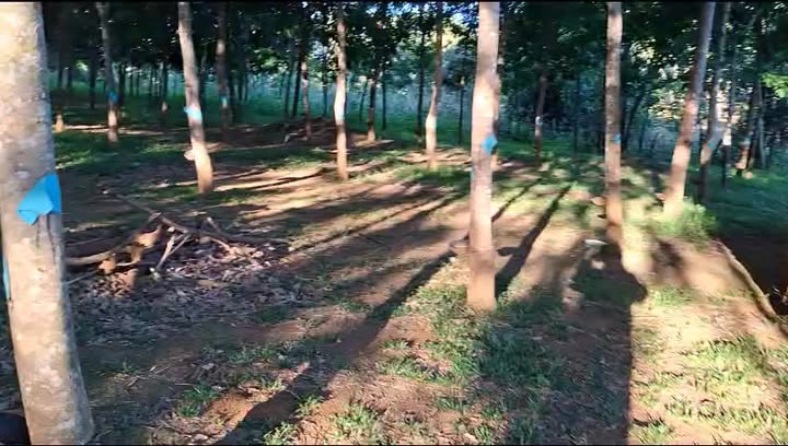 Đất vườn Phú Sơn 2520m² 1 tỷ - Sinh thái xanh ven suối