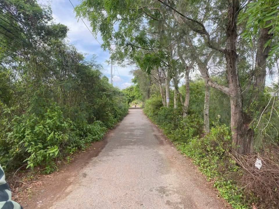 Đất nền Bạc Liêu 1.500m² 1.98 tỷ - Pháp lý rõ ràng