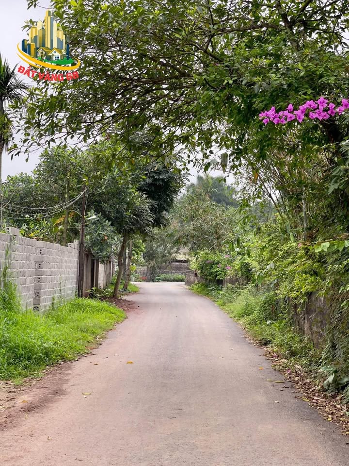 Đất nền Hoa Lư 195m² 4 tỷ - Pháp lý rõ ràng