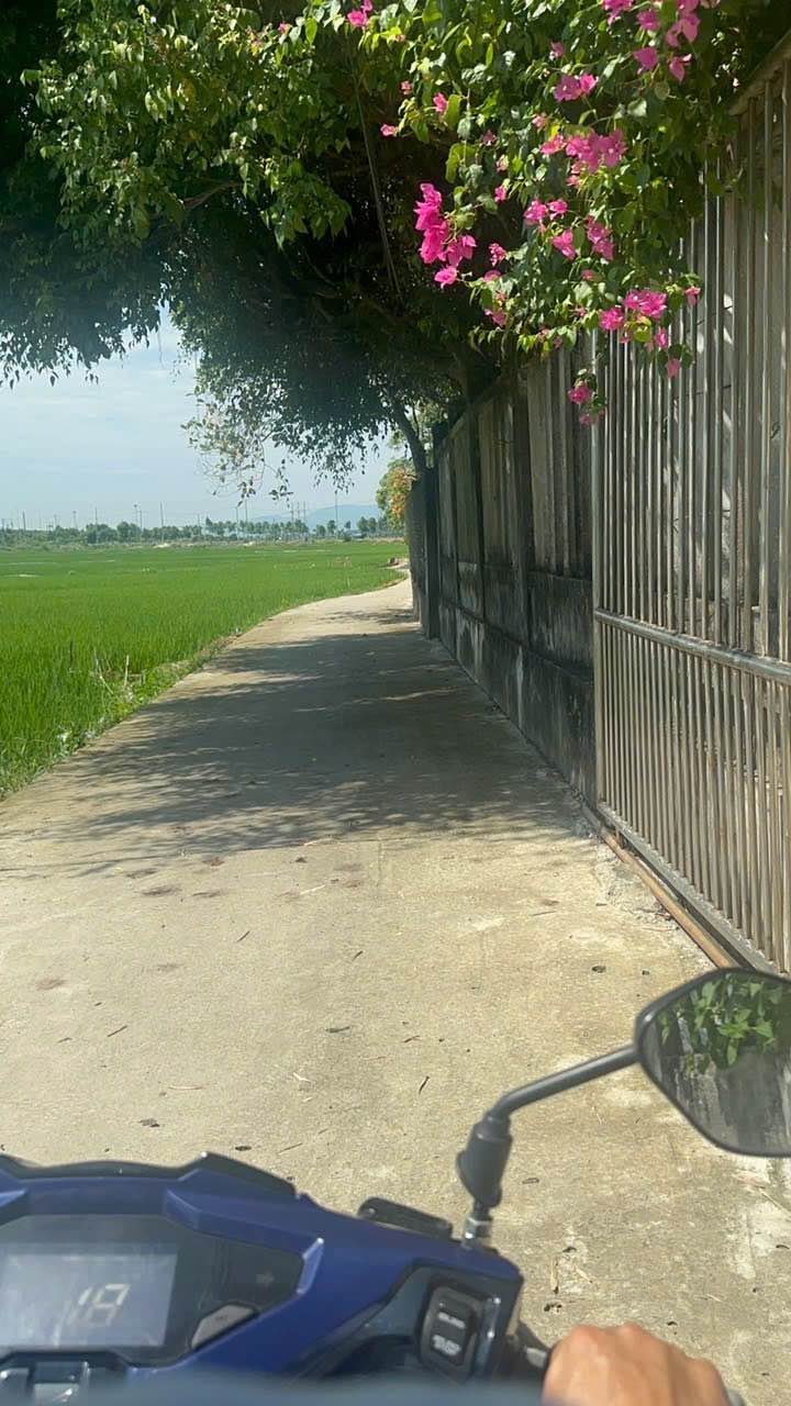 Đất Hòa Tiến Hòa Vang 135m² 1,3 tỷ - Đường ô tô