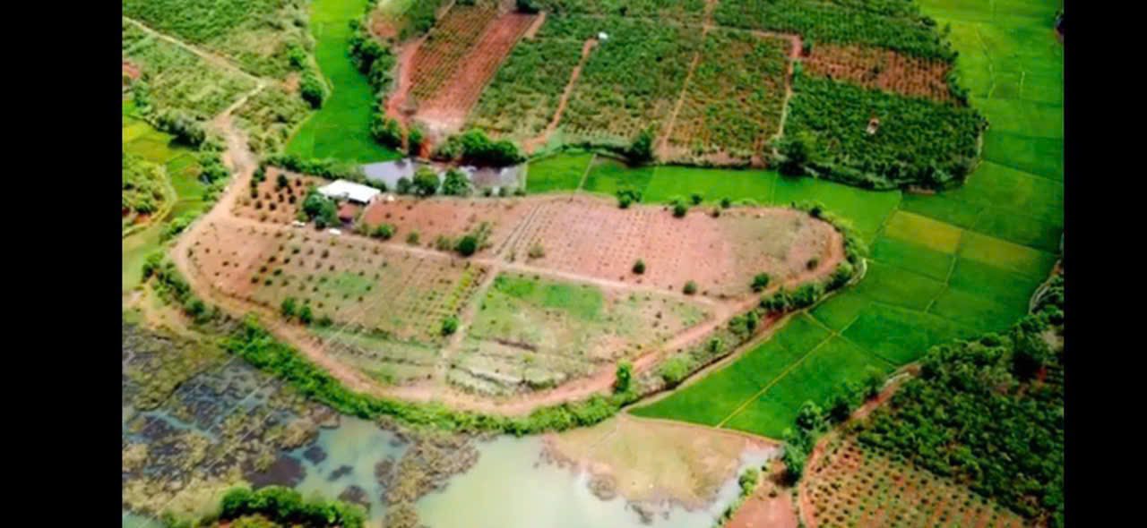 Farm Ia Băng 2.5ha giá 7.2 tỷ - Đầu tư dài hạn