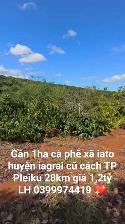 Farm Ia Tô Gia Lai 1ha giá 1.2 tỷ - Đất vườn đầu tư dài hạn