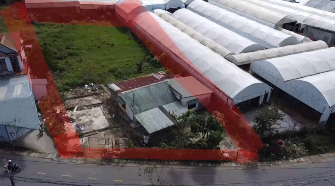 Đất cho thuê Trần Đại Nghĩa P8 Đà Lạt 1300m² - Đường to ô tô