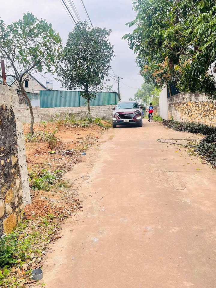 Đất Chu Điện Lục Nam 206m² giá 600-699 triệu - Đường to ô tô