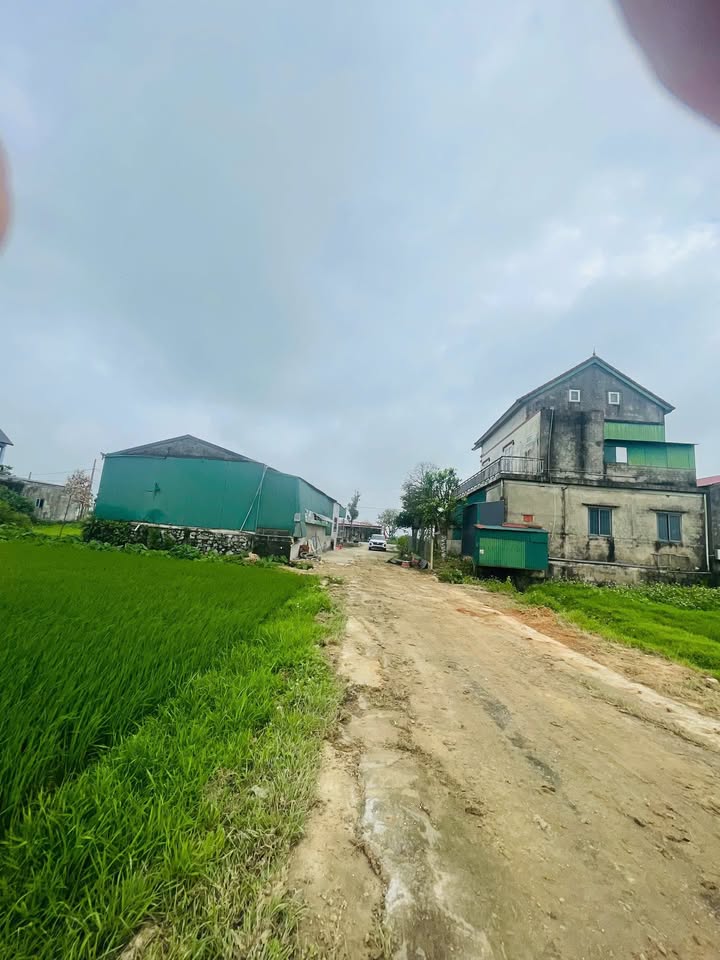 Đất Cẩm Yên Lộc Hà 240m² - Đường ô tô vào