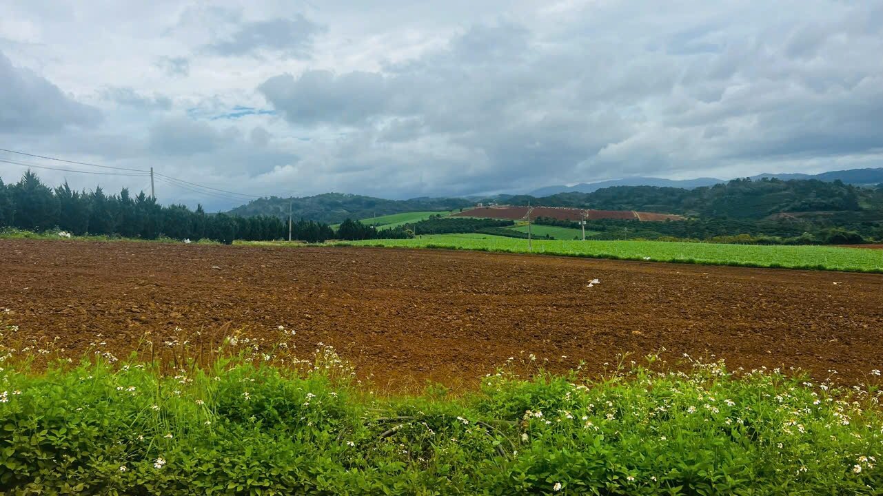 Đất nền Lạc Dương 12.000m² giá 133 tỷ - Sổ đỏ chính chủ