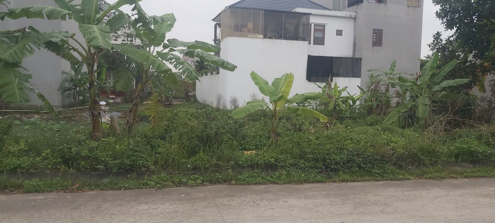 Đất DT477 Gia Phong 120m² - Đường ô tô, tiềm năng tăng