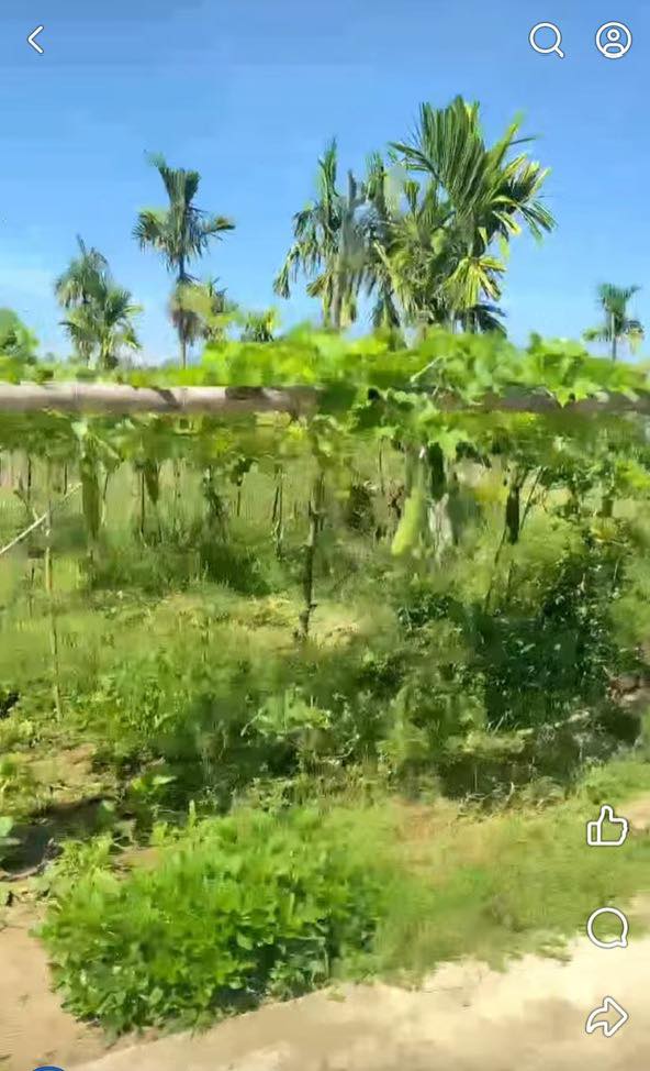 Đất nền Nghĩa Thuận 360m² 600 triệu - Đầu tư dài hạn