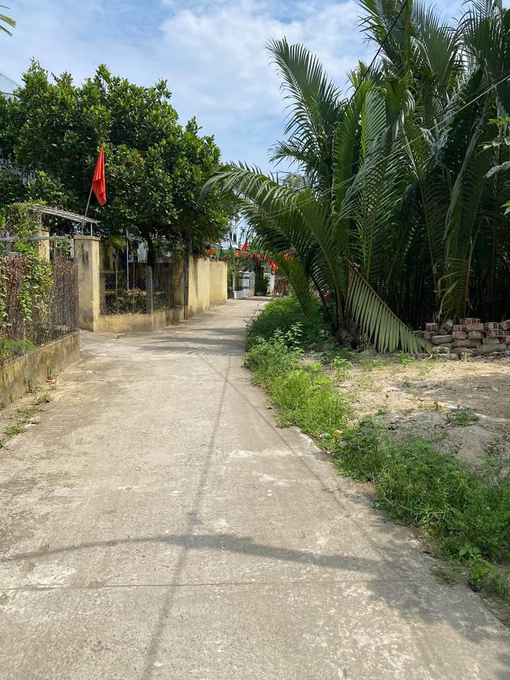 Đất nền Cẩm Thanh Hội An 132m² 2 tỷ - Vị trí đẹp