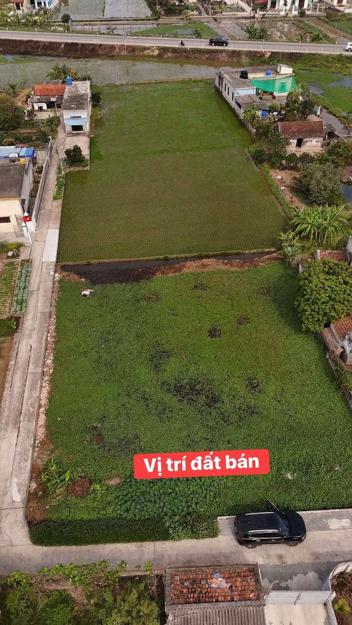 Đất Giao Hải Nam Định 192m² 1.3 tỷ - Sổ đỏ chính chủ
