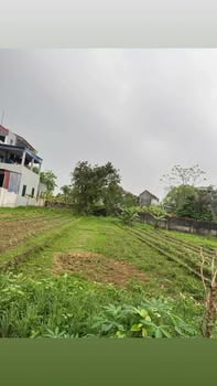 Đất Trung Thành Phổ Yên 126m² 700 triệu - Sổ đỏ chính chủ