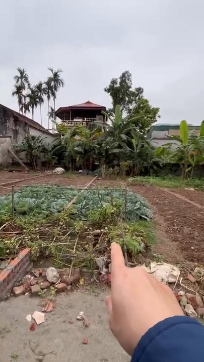 Đất nền TDP Tứ Giáp 80m² thỏa thuận - Sổ đỏ chính chủ