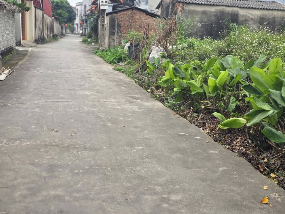 Dat nen Bac Giang Nham Bien 113m2 thoa thuan - So do chinh chu