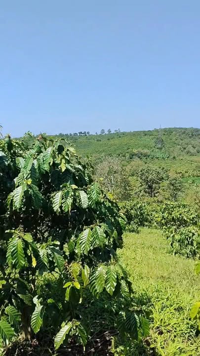 Đất vườn Lộc Nga 1440m² giá 2.6 tỷ - Sinh thái xanh