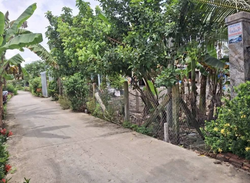 Đất nền Mỹ Hạnh Đông 50m² 340 triệu - Thổ cư 100%