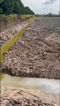 Farm HL65B Cái Bè 9.000m² 5.31 tỷ - Tiềm năng tăng giá