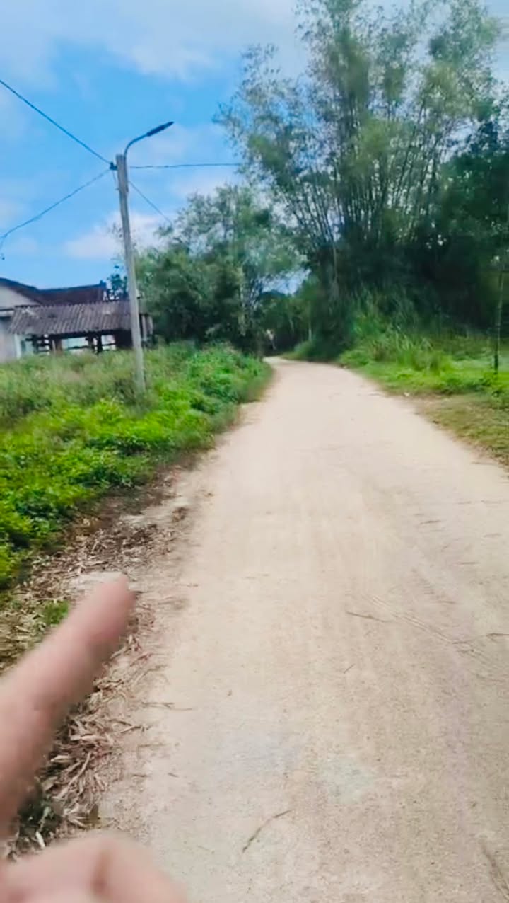 Đất nền Phù Mỹ Bình Định 140m² giá 200-299 triệu - Thổ cư 100%