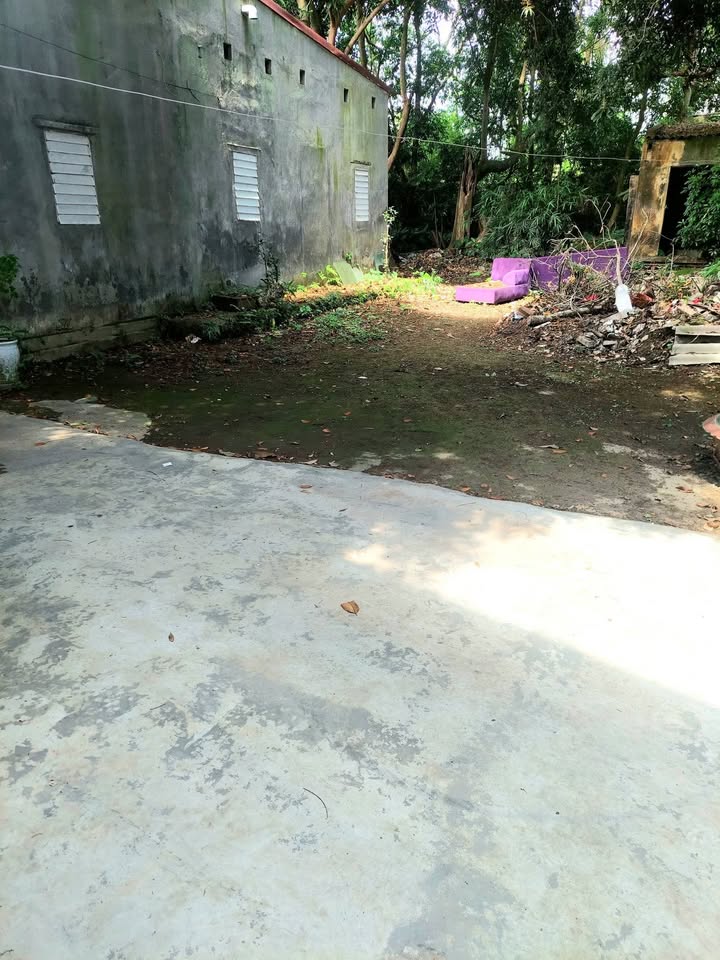 Đất thổ cư Phường Quang Trung 70m² 500 triệu - Sổ đỏ chính chủ