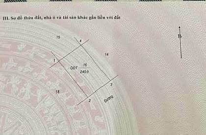 Đất nền KĐT Dệt Nam Định 240m² 19.2 tỷ - Sổ đỏ chính chủ