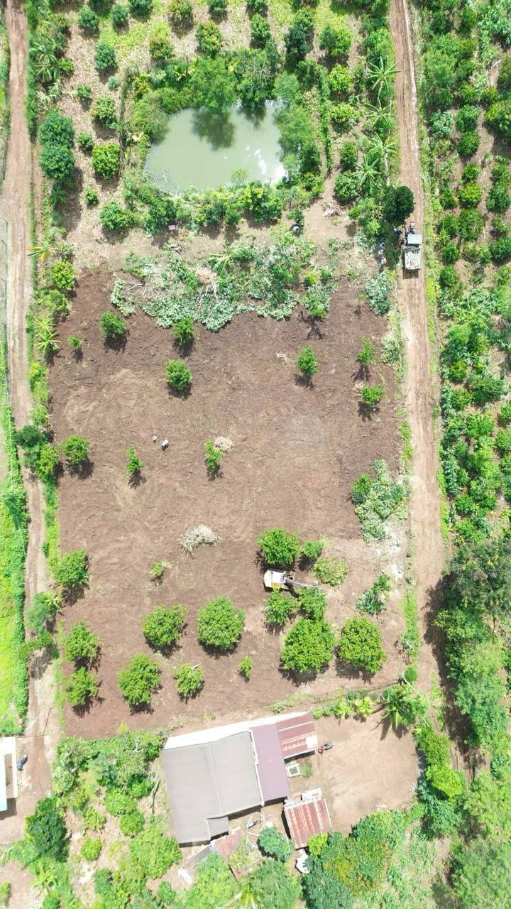 Đất nền Ea Drông 190m² 255 triệu - Sổ đỏ chính chủ