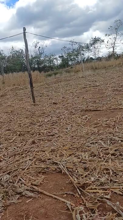 Đất nền Ea Kar 1296m² 580 triệu - Hạ tầng hoàn thiện