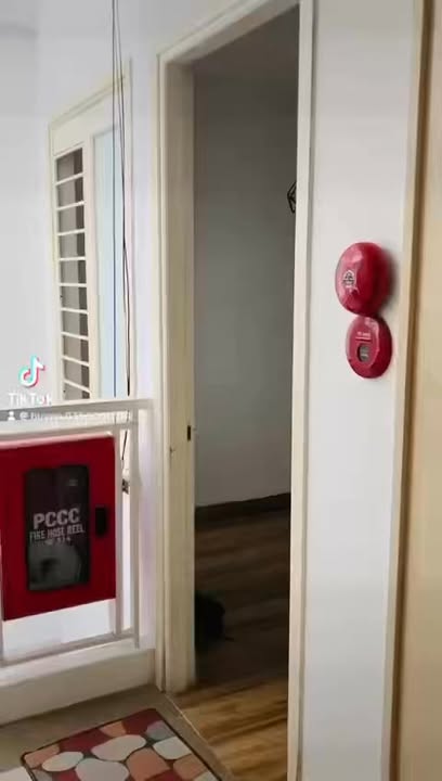 Căn hộ Hoàng Kế Viêm Mỹ An 1PN 14 triệu - Bàn giao ngay