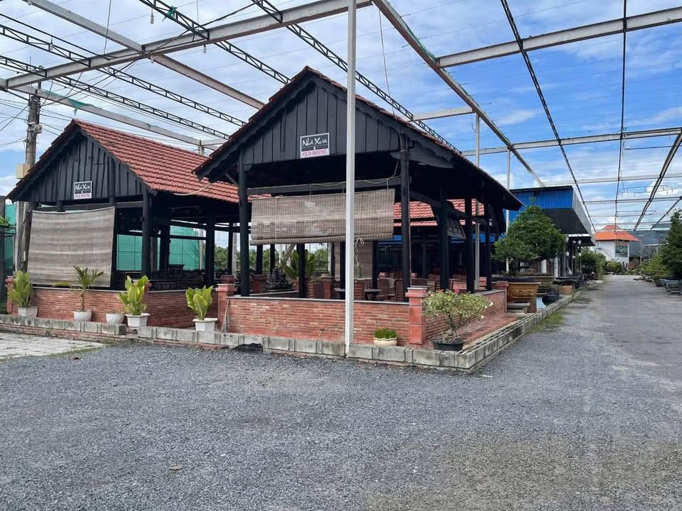 Đất dự án QL91 Thốt Nốt 10.060m² - Sổ đỏ chính chủ kinh doanh