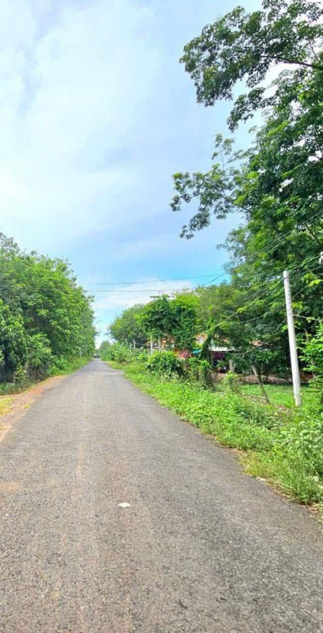 Đất nền Long An Long Thành 200m² 295tr - Sổ đỏ chính chủ