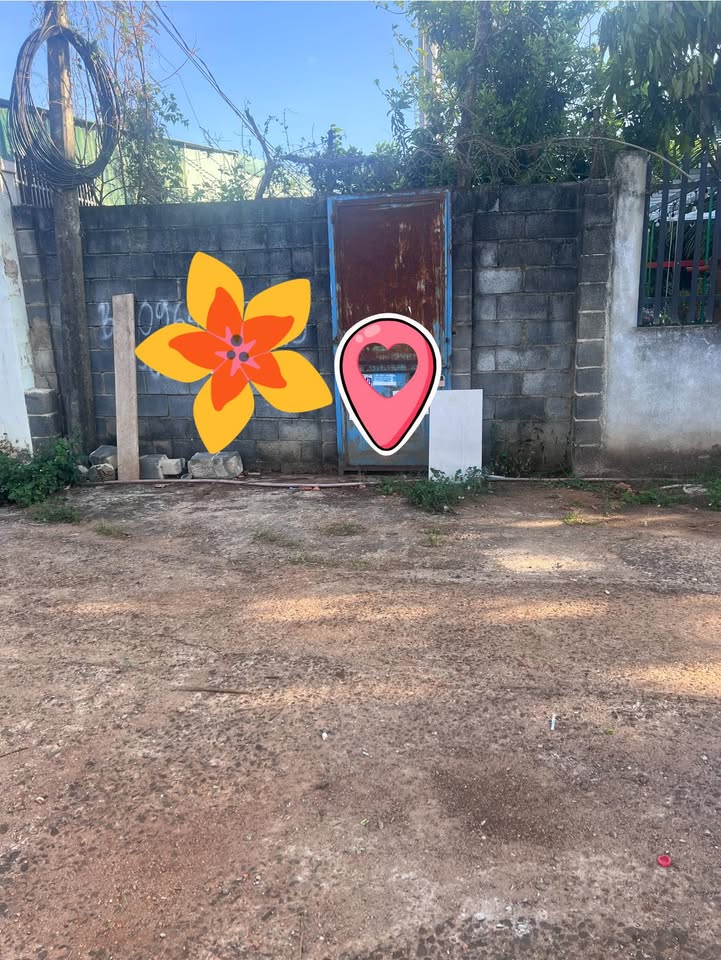 Đất nền Nguyễn Văn Cừ 129m² giá 1.25 tỷ - Đường to ô tô