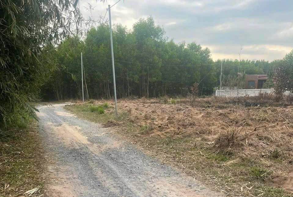 Đất nền Long Thọ Nhơn Trạch 80m² giá 200-300 triệu - Sổ đỏ chính chủ