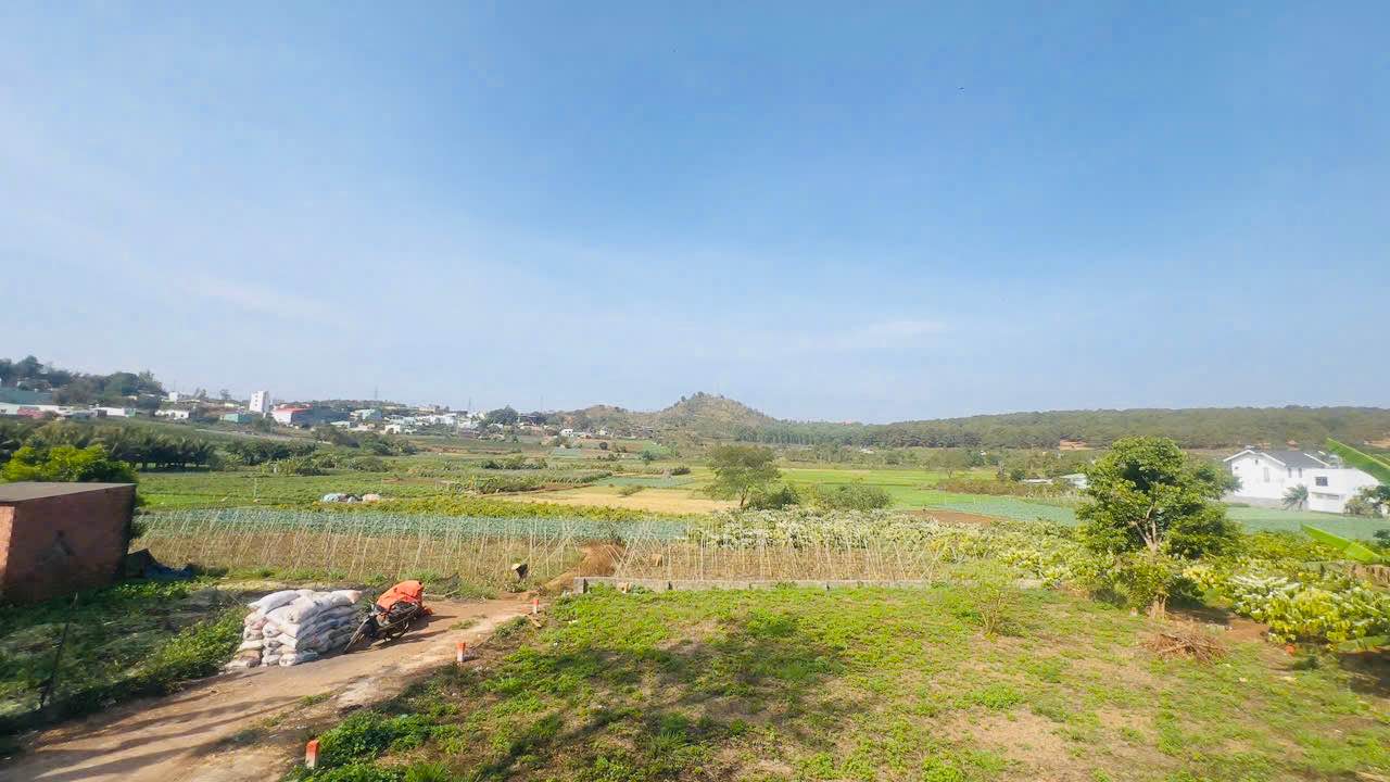 Đất nền Diên Hồng Pleiku 100m² 4xx triệu - Đường to ô tô