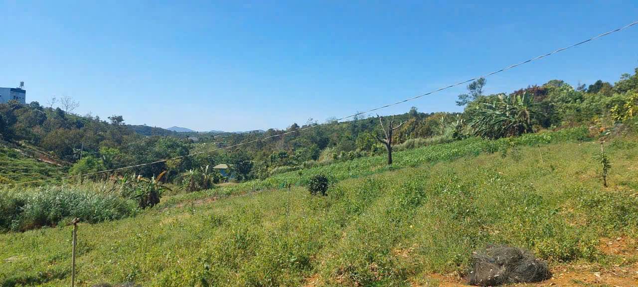 Đất vườn Phường 2 Bảo Lộc 2353m² - Nghỉ dưỡng lý tưởng!