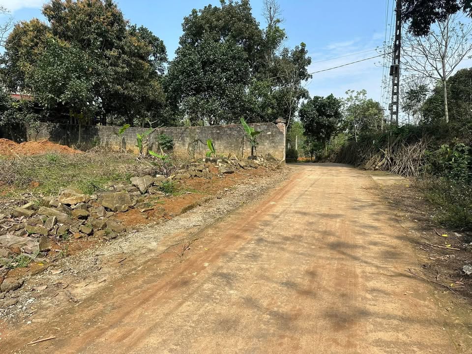 Đất nền Phú Hộ 121m² 8xx triệu - Tiềm năng tăng giá